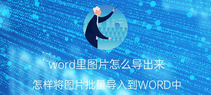 word里图片怎么导出来 怎样将图片批量导入到WORD中？